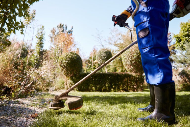 Yard Maintenance & Home Safety